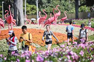 BIB: 
                            <button type="button" onclick="openModal(27794345)" class="btn btn-primary btn-sm float-right btn-popup" data-toggle="modal" data-target=".modal-high-quality">
                        <i class="fas fa-shopping-cart"></i> Add to Cart
                    </button>
                                            <button type="button" onclick="isThisMe(27794345, true)" class="btn btn-success btn-sm float-right btn-popup btn-isme hidden" data-toggle="tooltip" data-placement="bottom" title="นี่คือรูปของคุณใช่ไหม คลิกที่นี่เพื่อเอาเข้าอัลบั้ม">
                        <i class="fas fa-plus"></i> Add to album
                    </button>
                    <button type="button" onclick="isThisMe(27794345, false)" class="btn btn-warning btn-sm float-right btn-popup btn-isnotme hidden">
                        <i class="fas fa-ban"></i> Remove from album
                    </button>